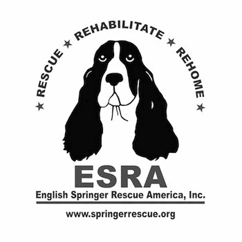 English Springer Rescue of America (ESRA) logo