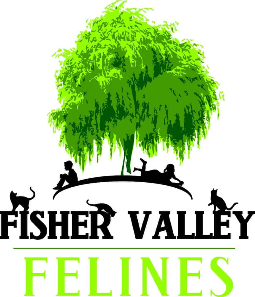 Fisher Valley Felines logo