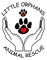 Little Orphans Animal Rescue logo