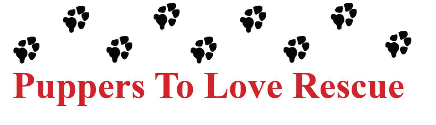 Puppers to Love logo