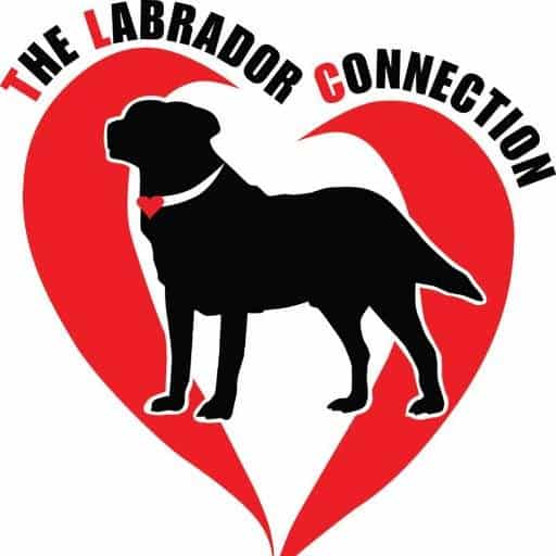 The Labrador Connection logo
