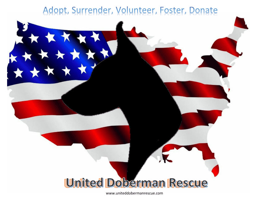 United Doberman Rescue logo