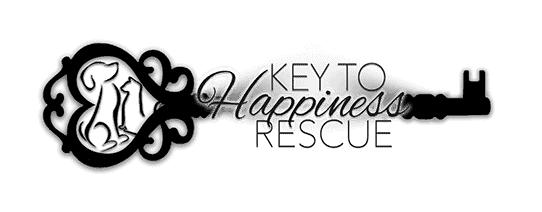 Key to Happiness Rescue logo